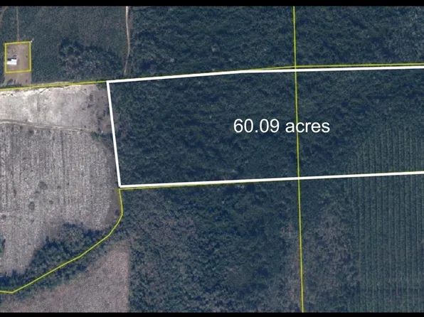 N County Road 229, Raiford, FL 32083