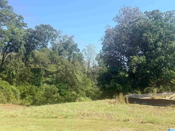 1154 Arden Pl Lot 1B, Birmingham, AL 35243