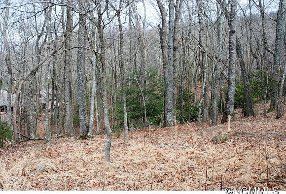 2nd image of 44 Deep Creek Trl