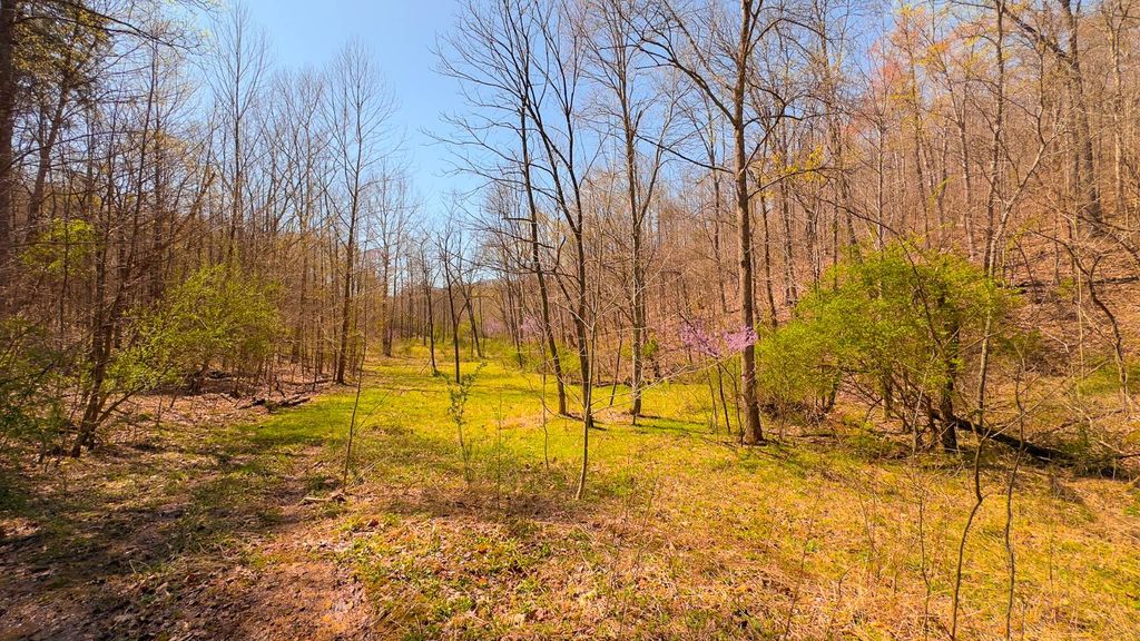Real estate listing image