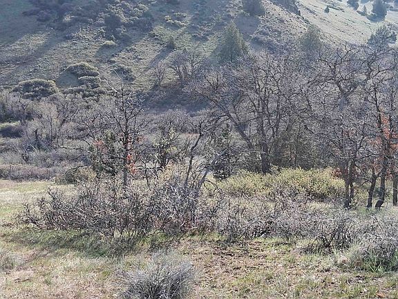 5th image of 12320 Ager Rd
