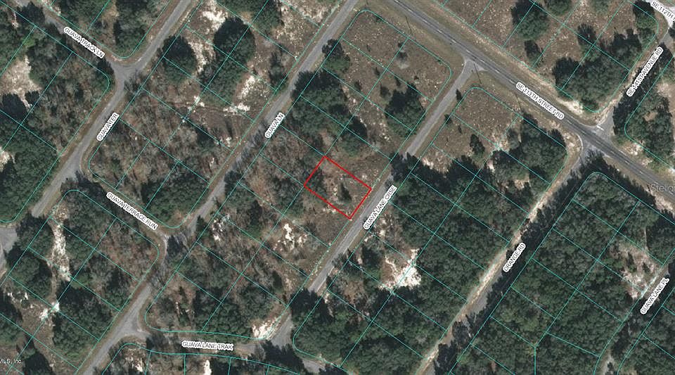 1st image of 00 Guava Lane Crse