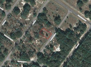 00 Guava Lane Crse, Ocklawaha, FL 32179