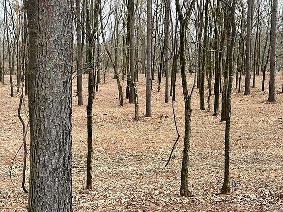 5th image of 0 Sunshine Ln Lot 4