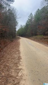 LOT 5/county Rd Lot 823-5, Wadley, AL, 36276