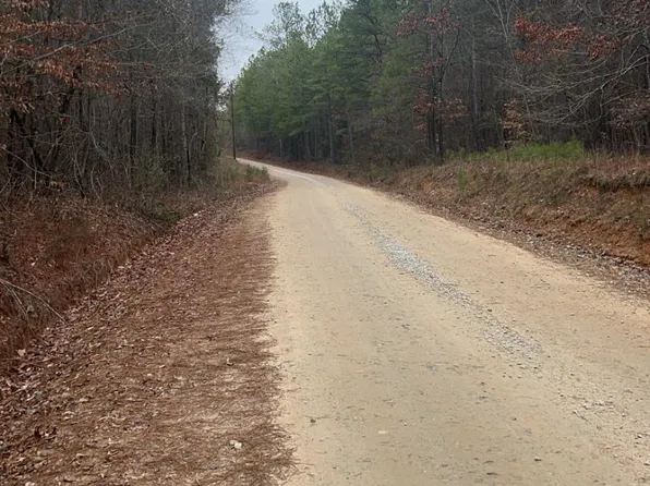 LOT 5/county Rd Lot 823-5, Wadley, AL 36276