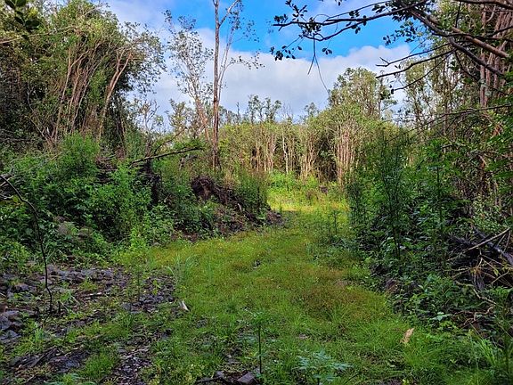 2nd image of Opeapea Road Rd #7-lot 4593
