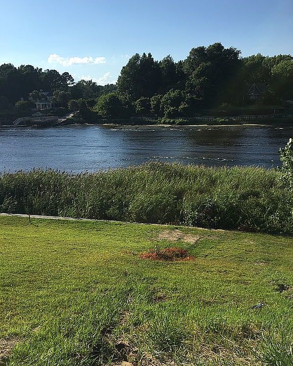 1st image of Palmetto Harbour Dr