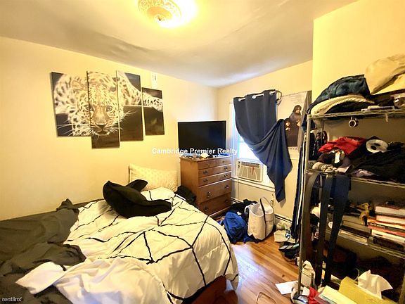 217 Beacon St. #2 Somerville Shared Unit Photo 4