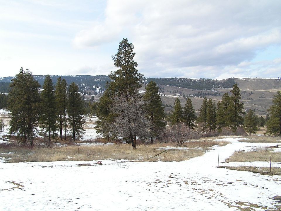 2nd image of 9166 Colockum Pass