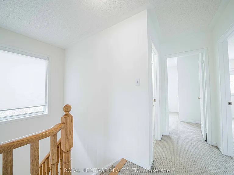 344 Castlemore Ave — Photo 19
