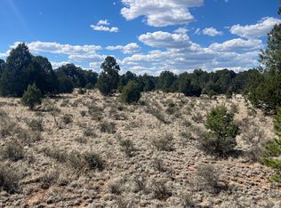 Cerro Leonides Rd, Grants, NM 87020