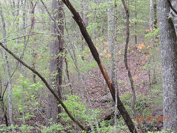 3rd image of 761 Selah Ln