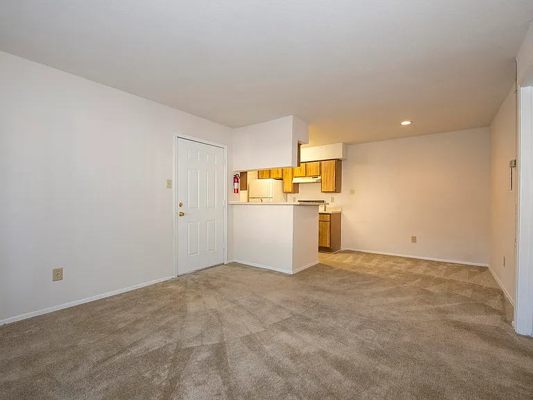 2911 Sycamore Springs Dr — Photo 42