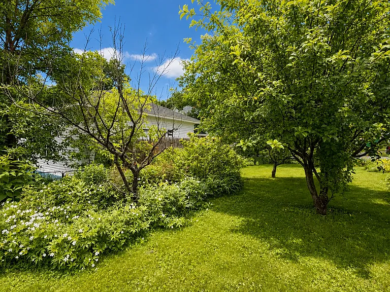 240 Pine St — Photo 3