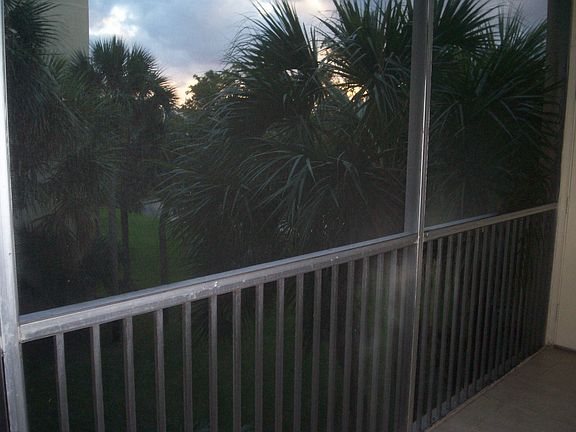 View from Patio