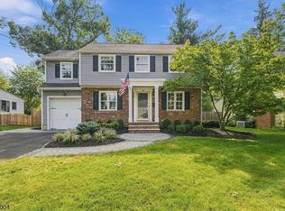 18 LOWELL AVE, Summit City, NJ 07901