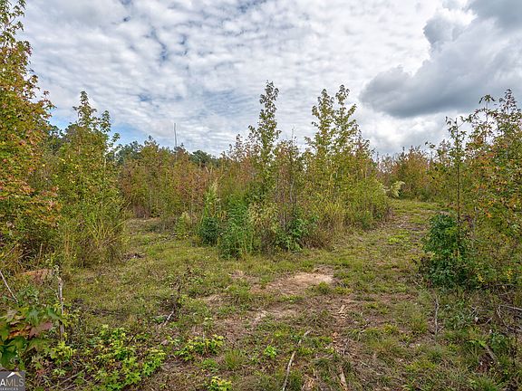 3rd image of 0 Old Salem Rd Tract 2-3-4