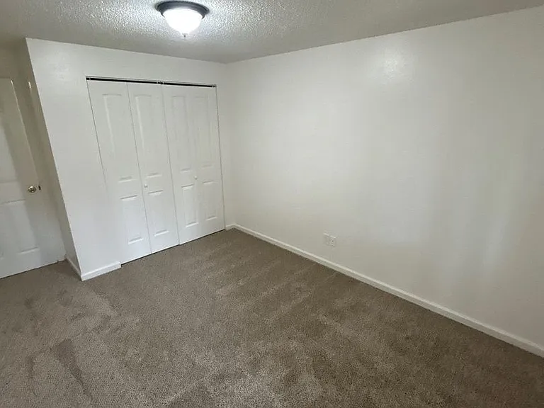 The Firs Apartments — Photo 13