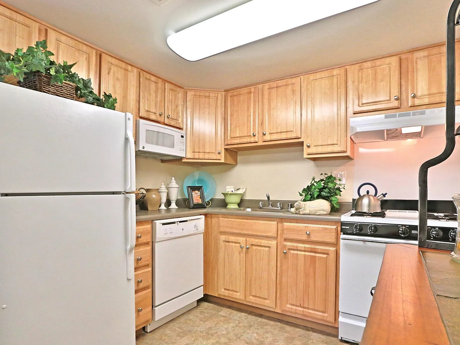 Winston Apartments — Photo 3