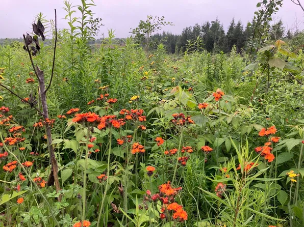 4 Hawksley Road, Mars Hill, ME 04758