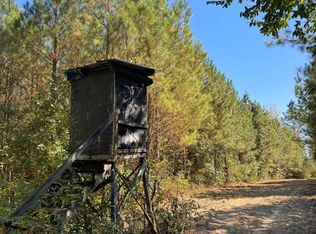 3 County Road 5, Cuba, AL 36907