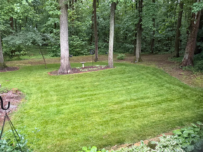 8566 Framewood Dr — Photo 5