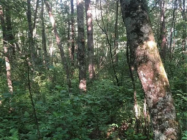Lot 21 Waters Edge, Black River Falls, WI 54615