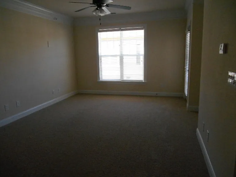 Briton Trace Apartments — Photo 87