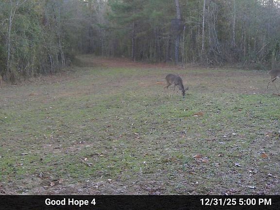 4th image of Good Hope Rd