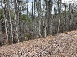 no # Edna Perry Road, Crumpler, NC 28617