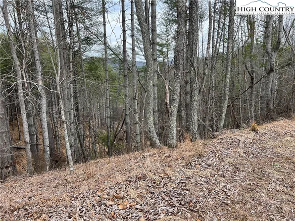 no # Edna Perry Road, Crumpler, NC 28617