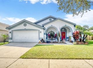 4317 Buckhorn Groves Ct, Valrico, FL 33596