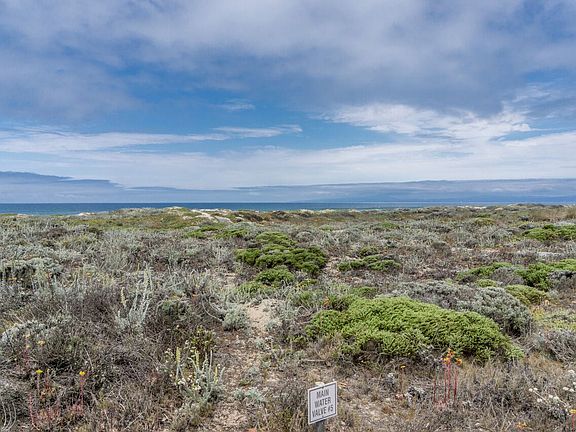 125 Acres of Sand Dunes