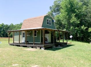 321 Charlie W Williams Rd, Lyons, GA 30436