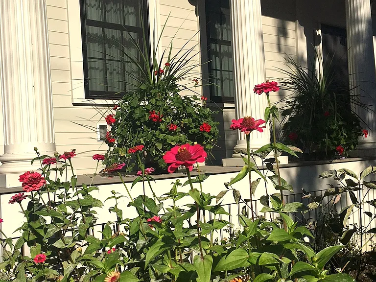 77 Norfolk St #R — Photo 8