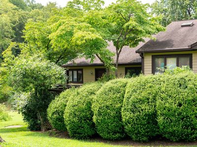 1285 Branchlands Dr, Charlottesville, VA, 22901