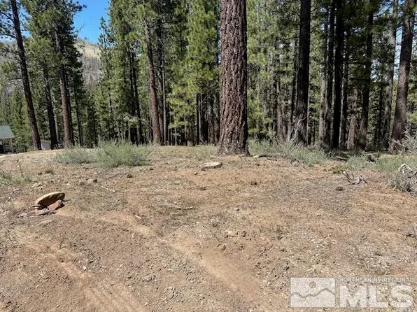 150 Pinon Rd, Markleeville, CA 96120