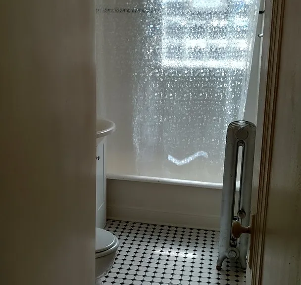 4307 N Francisco Ave #3G — Photo 7