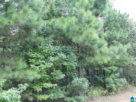 4th image of 0 Ferry Oaks Dr Lot 22