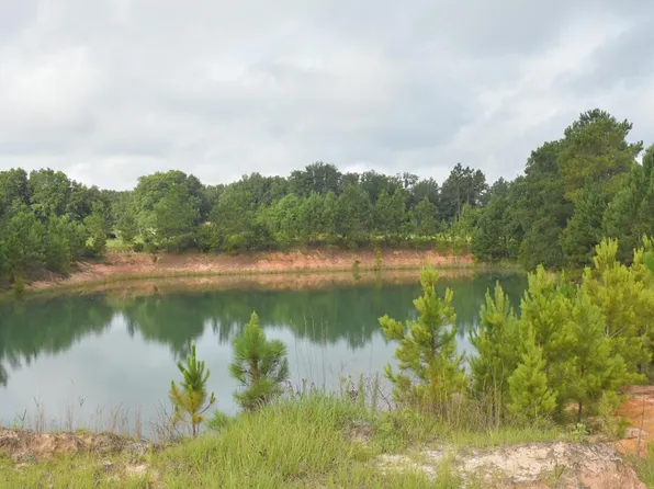 SE Stafford Dairy Rd, Ludowici, GA 31316