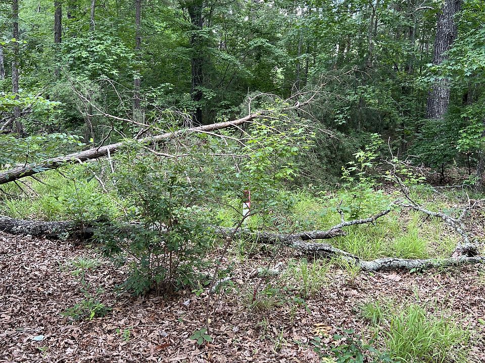 2nd image of 0 Rutledge Falls Rd Lot 3