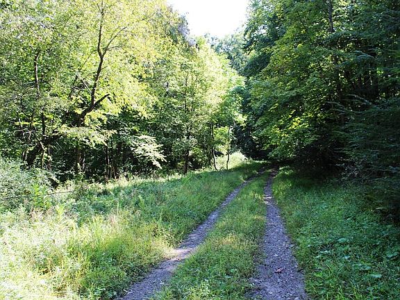 5th image of State Route 19/12