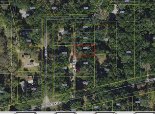 3577 NW 23rd Ter, Lake Panasoffkee, FL 33538