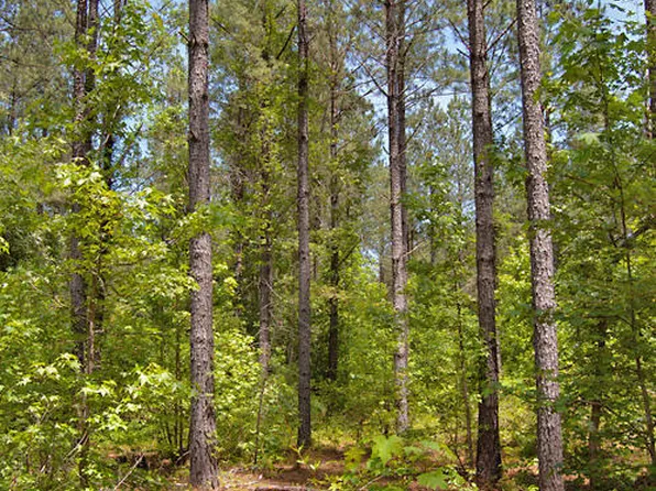G G F Ball Rd Lot G, Louisburg, NC 27549