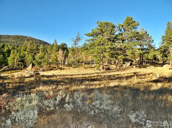 191 Cimarron Rd, Red Feather Lakes, CO 80545