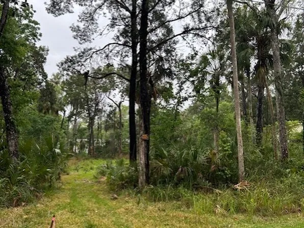 11070 W Bareto Ln, Homosassa, FL 34448