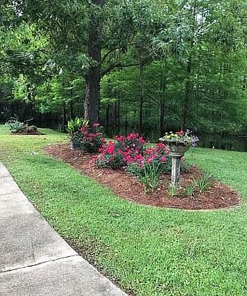Lush Summer Landscaping