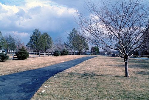 Front Yard