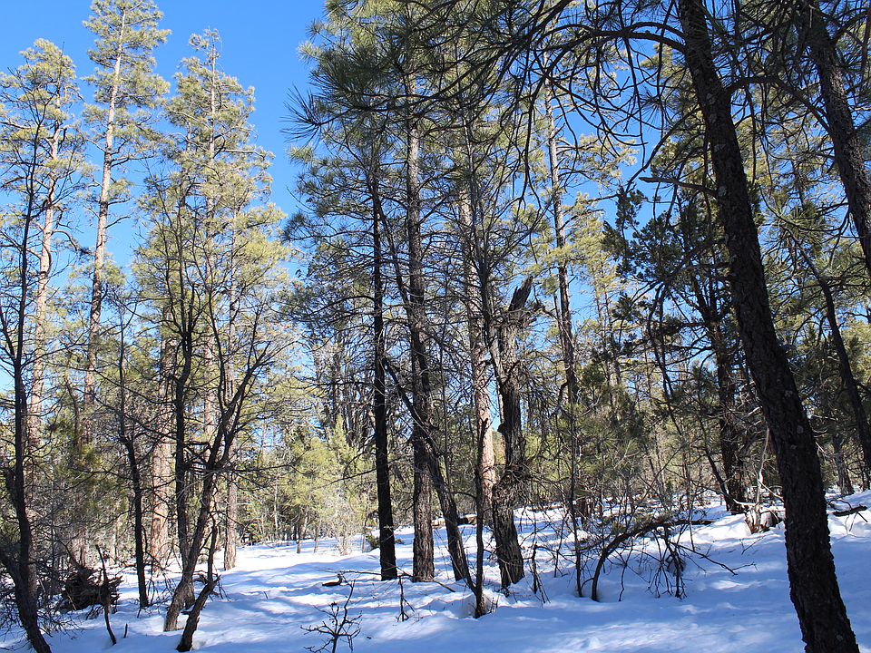 1st image of 1160 W Sierra Pines Dr